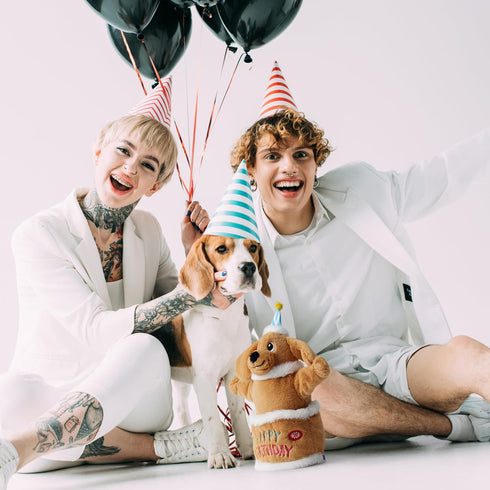 Fuzzwoof Singing Dancing Dog Toy, Interactive Birthday Cake Plush Toy for Small Medium Large Dogs, Plays Birthday Song