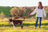 Reflective Dog Collar and Leash Set, Adjustable Nylon for Small Medium Large Dogs (3 Sizes, Red & S)