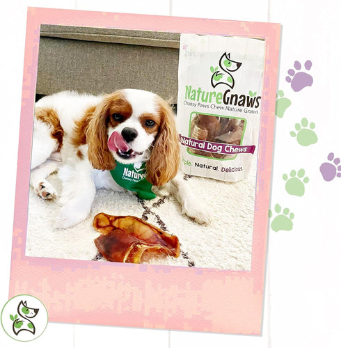 Nature Gnaws Pig Ears for Dogs - Premium Natural Pork Dental Chews - 8 Count Rawhide Free Dog Chew Treats for