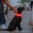 Illumifun LED Dog Collar, Adjustable Light Up Safety Pet Collar (Red, Small)