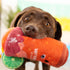 Fringe Studio Plush Dog Toy, Muttchelada, Pet Shop Collection (314162)