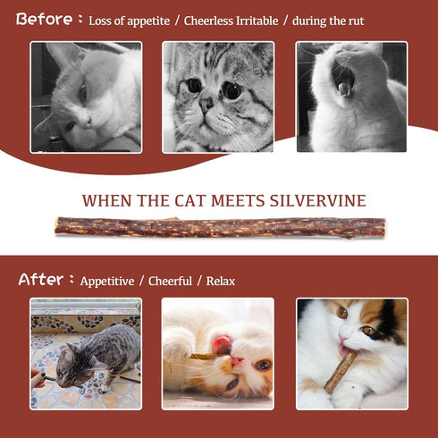 Silvervine Sticks for Cats, 30PCS Wooden Chew Toys, Matatabi Catnip Teething Toys for All Ages