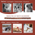 Silvervine Sticks for Cats, 30PCS Wooden Chew Toys, Matatabi Catnip Teething Toys for All Ages