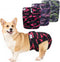 Female Dog Diapers Reusable No Tail Hole Period Panties Washable 3 Pack