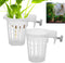 Generic 2PCS Aquarium Plant Holder - Translucent PP Plant Pot with Holes -