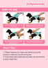 Jollywoods 3 Pack Washable Female Dog Diaper Onesie Sanitary Pantie with Adjustable Suspender, Reusable Fixed Doggie