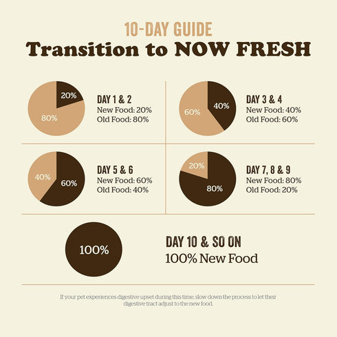Now Fresh Dry Cat Food, Turkey, Salmon and Duck Recipe - 3 lbs Grain Free Cat Food