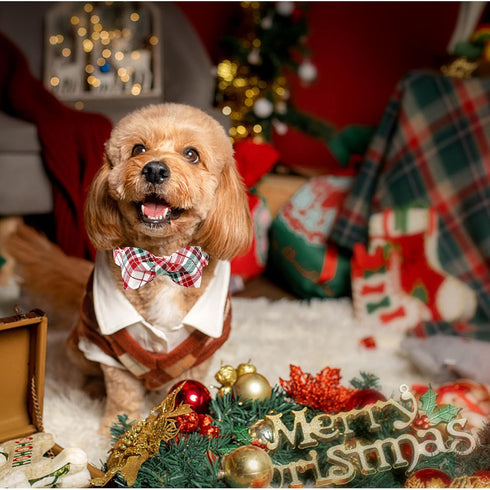 Dog Collar, Christmas Plaid Pet Collar Bow, Holiday Adjustable Collar for Medium Dogs