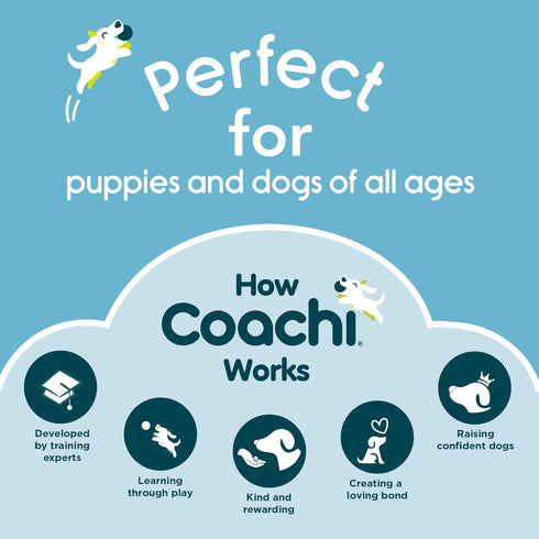 Coachi 10m Training Line: Safe Outdoors Training for Dogs & Puppies, Lightweight, Waterproof, Ideal for Recall