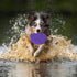 Indestructible Dog Flying Discs, Interactive Flyer Toys for Small Medium Dogs, 7.48 inch, Yellow