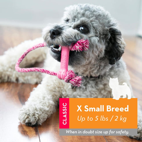 KONG Puppy Goodie Bone with Rope, Natural Rubber Chew Toy for Puppies, Teeth Cleaning Toy for XS Puppies, Pink