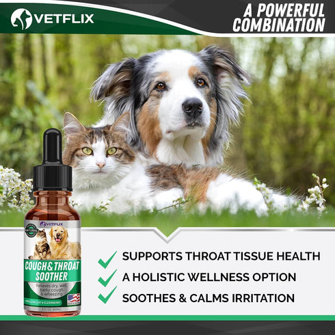 Kennel Cough Treatment for Dogs & Cats, Made in USA, Mullen Leaf & Elderberry Blend, 2 Fl Oz