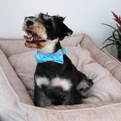 ARING PET Flamingo Dog Collar - Cotton Adjustable Summer Bowtie Collar with Metal Buckle