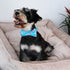 ARING PET Flamingo Dog Collar - Cotton Adjustable Summer Bowtie Collar with Metal Buckle