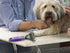 Hertzko Cat Dematting Tool, Double Sided Dog and Cat Dematting Comb for All Pets