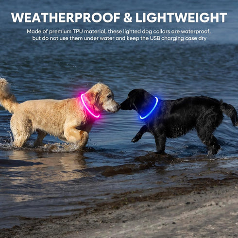 Light Up Dog Collar, Waterproof LED Pet Collar Rechargeable, TPU Cuttable Glow in The Dark for Night Walking (Pink)