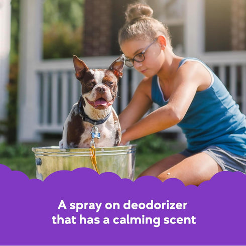Buddy Splash Lavender & Mint Spritzer & Conditioner for Dog Grooming, 4 Oz. Bottle