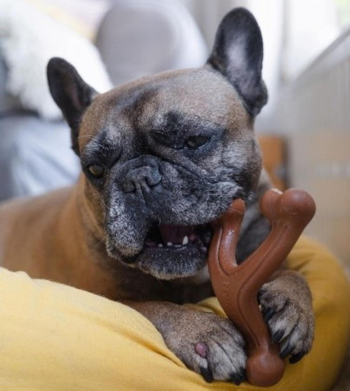 Nylabone Ergonomic Hold Wishbone Power Chew Toy for Dogs, Large - Up to 50 lbs, Bison Flavor, 1 Count