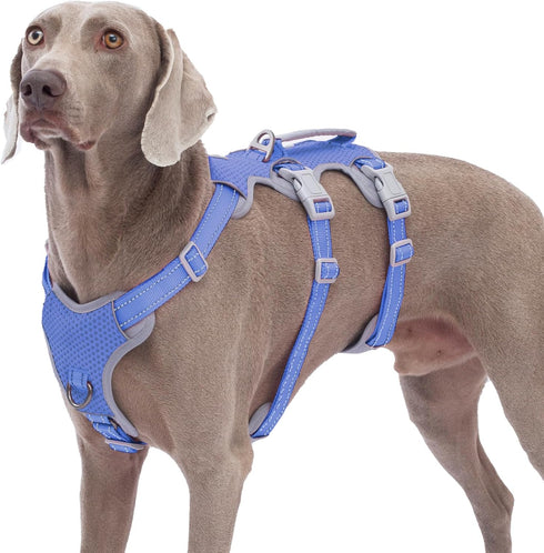 Escape Proof Dog Harness, Vista Blue L, No Pull Reflective Vest with Lift Handle, Adjustable with Front and Back Leash