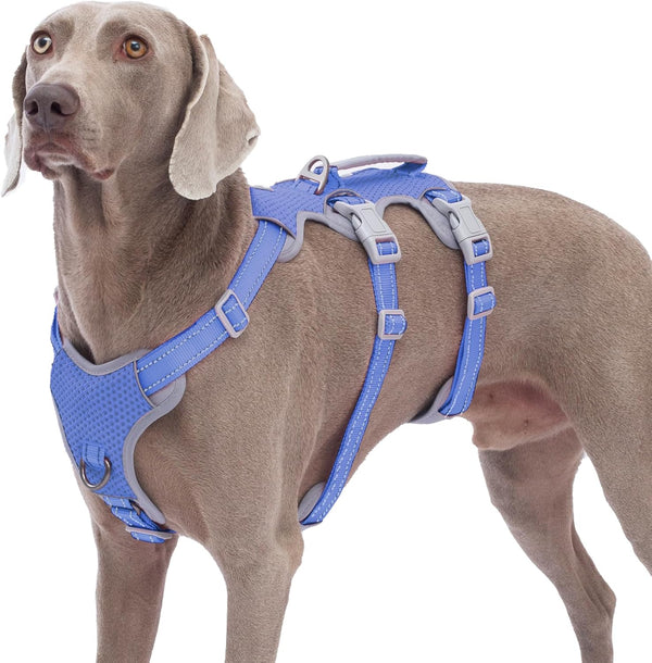 Escape Proof Dog Harness, Vista Blue L, No Pull Reflective Vest with Lift Handle, Adjustable with Front and Back Leash