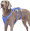 Escape Proof Dog Harness, Vista Blue L, No Pull Reflective Vest with Lift Handle, Adjustable with Front and Back Leash