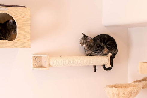 Armarkat Cat Wall Climber Series W1907D, Natural Beige Medium Scratching Post