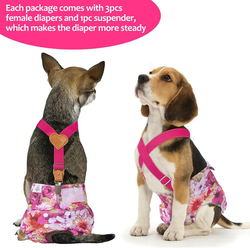 3 Pack BDD02L CuteBone Dog Diapers Female Reusable Doggy Diapers with One Suspender for Small Medium Large Dog Period