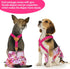 3 Pack BDD02L CuteBone Dog Diapers Female Reusable Doggy Diapers with One Suspender for Small Medium Large Dog Period