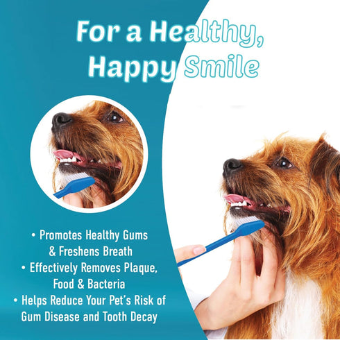 Dog Toothbrush Set, Best Soft Bristle Toothbrush for Dogs and Cats, Pack of 2 Double Sided Toothbrushes for Large and