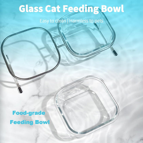 Elevated Cat Bowls, 15° Tilted Glass Raised Food Bowl with Stainless Steel Stand, 2 Large Capacity Bowls
