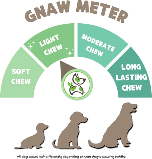 Nature Gnaws Tripe Twists for Dogs, 4-5" (10 Count) - Crunchy Grain Free Natural Beef Dog Chew Treats