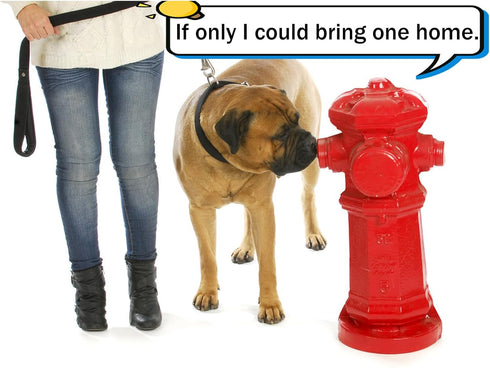 10 Dog Pee Pad Trainer, Pcs Fire Hydrant Potty Training Aid for Small Breeds, Reusable Potty Training Tool, Indoor Pee