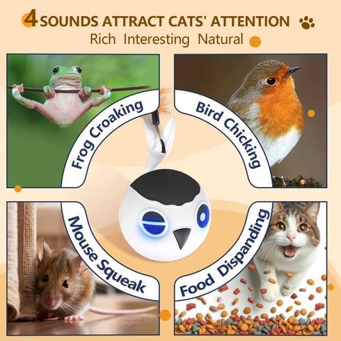 4 2 ORSDA Cat Ball Toys, Interactive Cat Toy for Indoor Bored Indoor Cats Kitten Toys, Automatic Electric Bird Moving