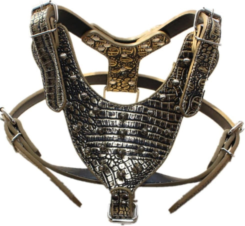 Leather Spiked Studded Medium & Large Dog Collars, Harnesses, 2Pcs Matching Set for Pit Bull, Mastiff, Boxer (Gold