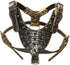 Leather Spiked Studded Medium & Large Dog Collars, Harnesses, 2Pcs Matching Set for Pit Bull, Mastiff, Boxer (Gold