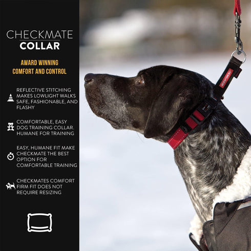 EzyDog Checkmate Martingale Collar for Dogs, Premium Nylon Training Collar, Medium, Purple