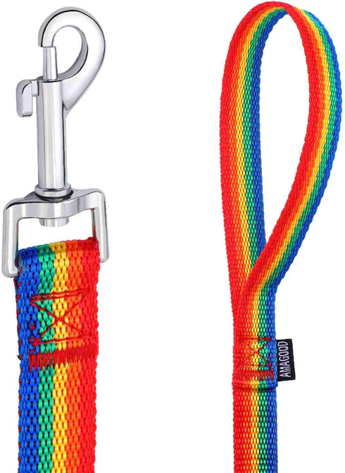AmaGood Dog/Puppy Obedience Recall Training Agility Lead, 30 ft Long Leash for Training, Recall, Safety (Rainbow)