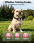 3 IPX7 1000Ft PATPET Dog Shock Collar - Rechargeable Dog Training Collar with Remote for Medium Large Dogs, Training