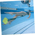 Swimming Equipment Suite - Training Cord Fitness Resistance Bands, Sports Belt, Swim Gear, Training Accessories