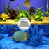 PINVNBY 20 Pcs 6.2-Inch Large Aquarium Filter Media, Ceramic Media for Sump Canister Filter