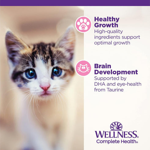 Wellness Complete Health Grain-Free Wet Canned Kitten Food, Real Meat, Whitefish & Chicken Bundle, 12 Cans