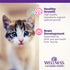 Wellness Complete Health Grain-Free Wet Canned Cat Food - Natural Ingredients, Real Meat, Smooth Pate, 3 oz, Pack of 24