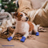 Dog Shoes Dog Boots & Paw Protector, Anti-Slip Sole Winter Dog Booties with Reflective Straps, 4PCS Blue for Small