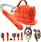 Generic Pet Grooming Kit with Vacuum, Low Noise <60dB, 6 Grooming Tools, for