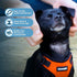 Voyager Step-in Lock Pet Harness - Adjustable All Weather Mesh Harness for Cats and Dogs, Orange/Black Trim, S