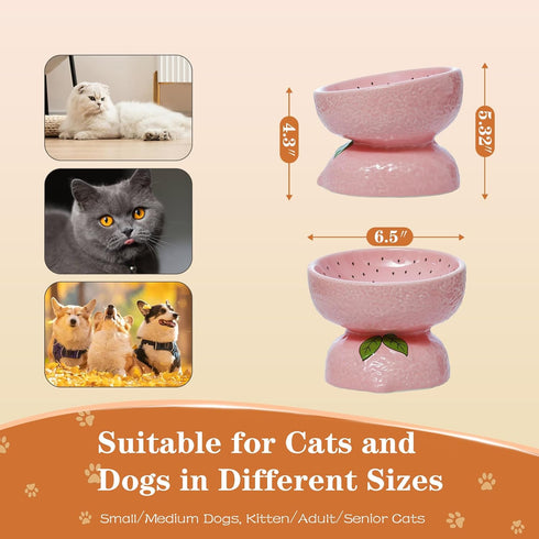 Cat Food Bowl Whisker Friendly, Ceramic Raised Cat Bowl for Indoor Cats, Extra Wide Tilted Cat Bowl Shallow Cat Food Dish for Adult Cats and Small Medium Dogs (Pink).