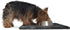 Furhaven 24" x 18" Highly Absorbent Dog Door Mat, 100% Washable, Chenille Rug for Entryway, Kitchen, Charcoal