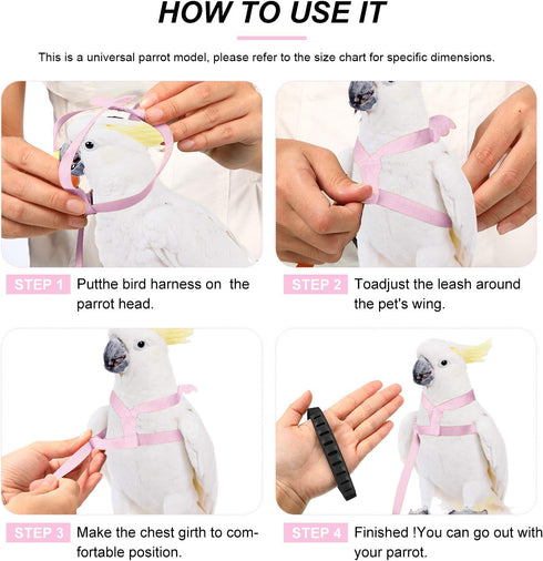 Shappy 4 Pieces Pet Parrot Bird Harness Leash, Adjustable Bird Flying Harness Traction Rope for Outdoor Training