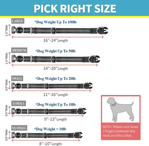 BAAPET Comfortable Dog Collar with Double Security Dual D-Ring and ID Tag Hanger for Small Medium Large Dogs (XS - 3/4"