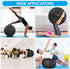 5 APEXUP Yoga Ball Exercise Ball Anti Slip Heavy Duty for Fitness, Balance & Core Workout, Balance Training, Pregnancy